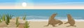 Two fur seals on the sandy coast of the sea or ocean with fragments of rocks and thickets of grass. Seascape. Vector landscape